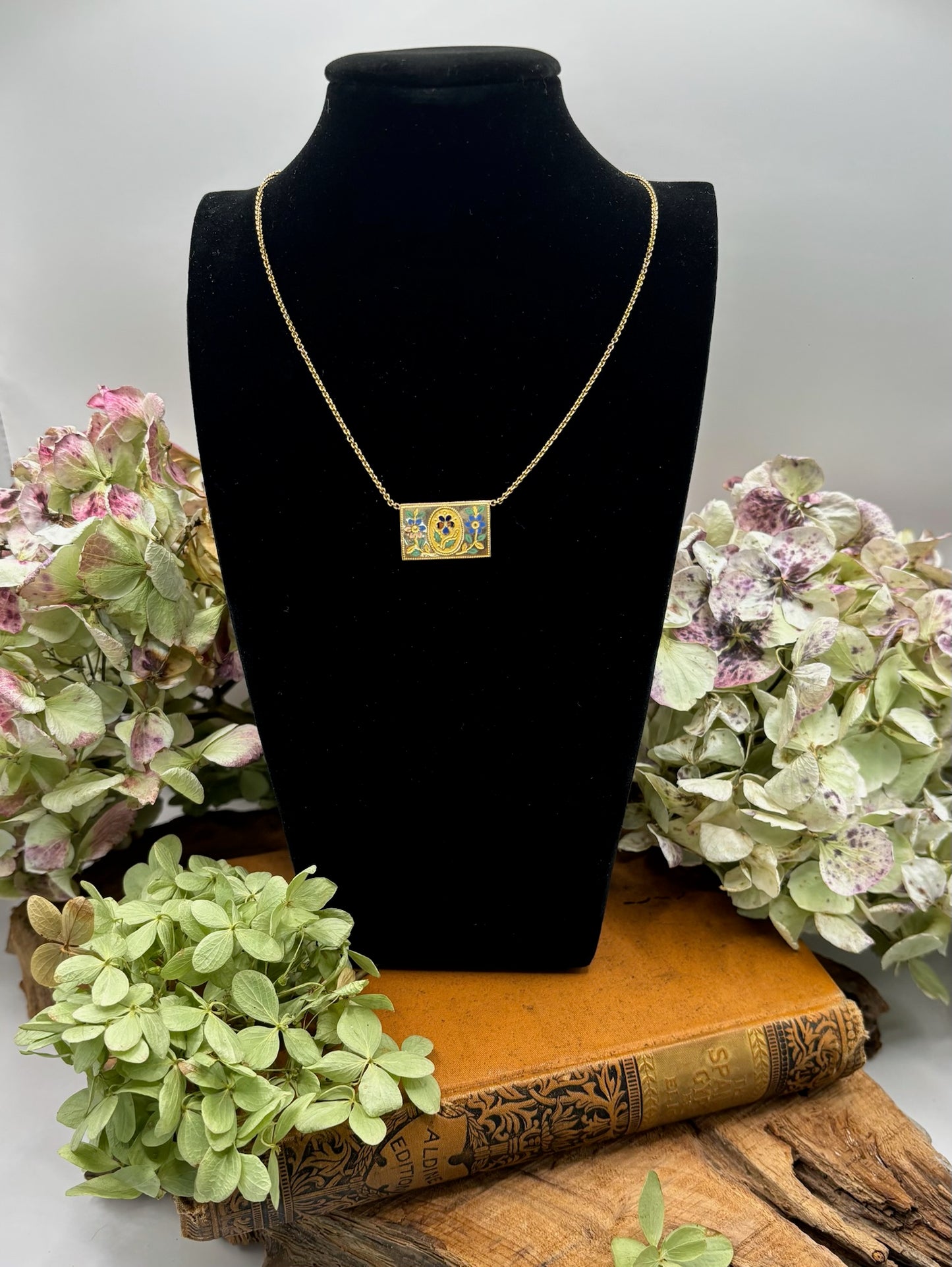 Antique French Clasp Necklace