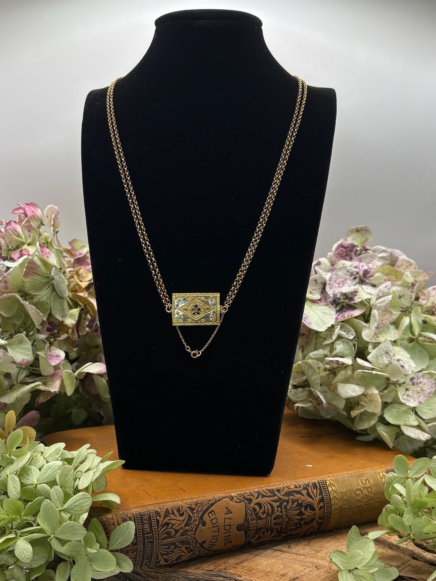 Antique French Clasp Necklace